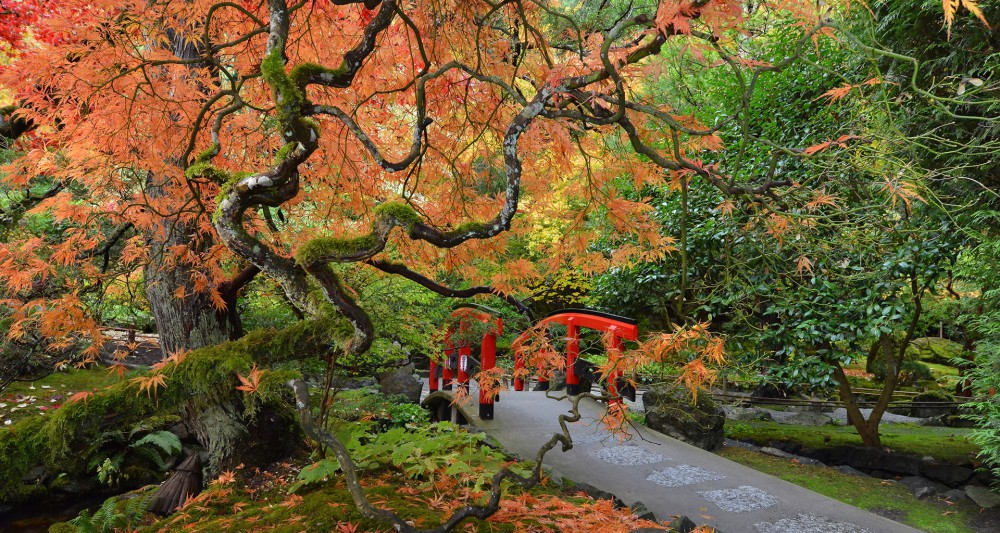 Japanese Garden at the Butchart Gardens