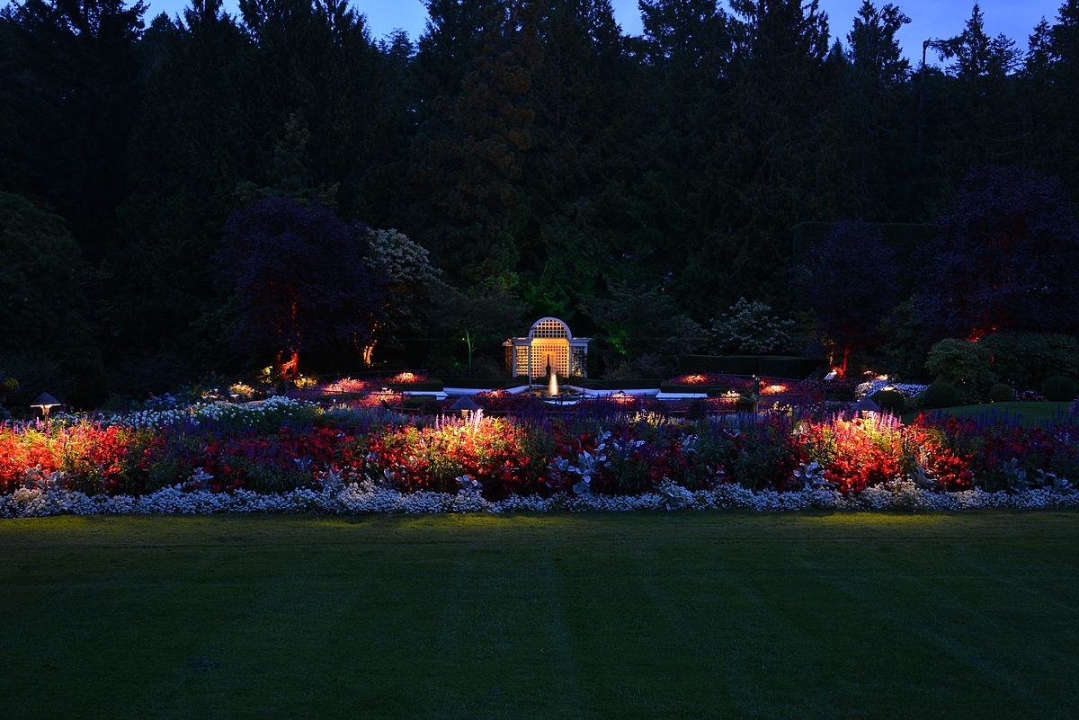 Insider Knowledge about Night Illuminations The Butchart Gardens