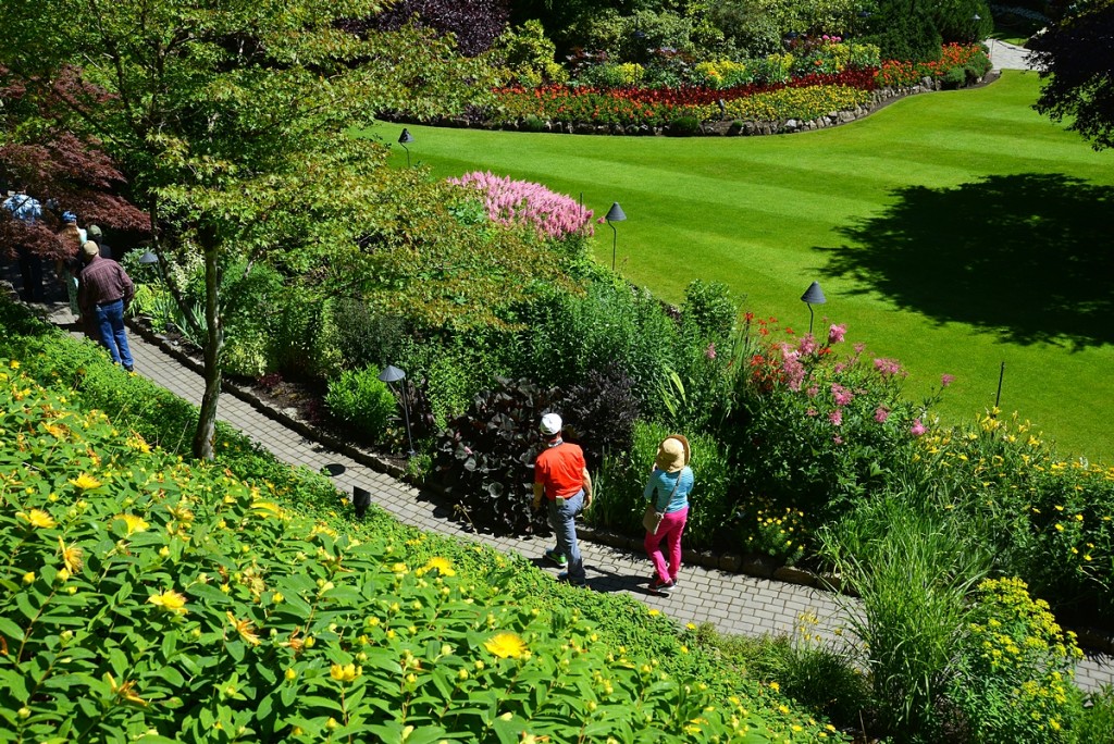 Summer Garden Insights The Butchart Gardens