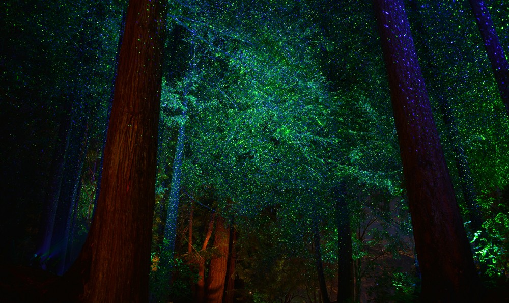 Beautiful garden night scene in Christmas in butchart gardens