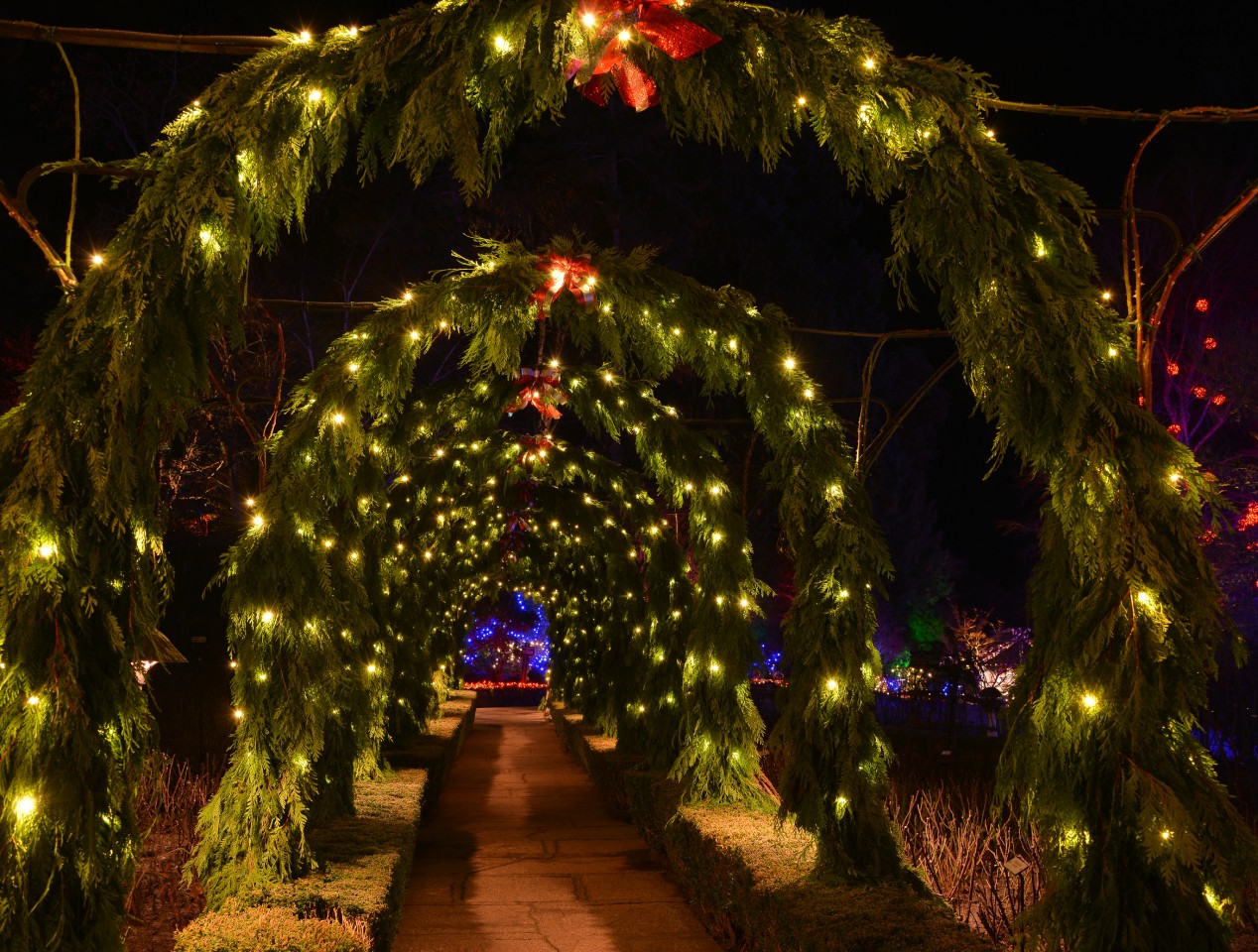 The Butchart Gardens Victoria, Canada Visiting at Christmas