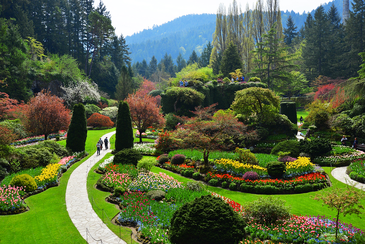 Spring Garden Insights The Butchart Gardens