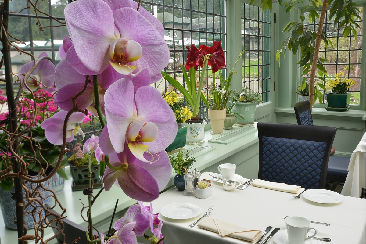 The Butchart Gardens Victoria, BC The Dining Room