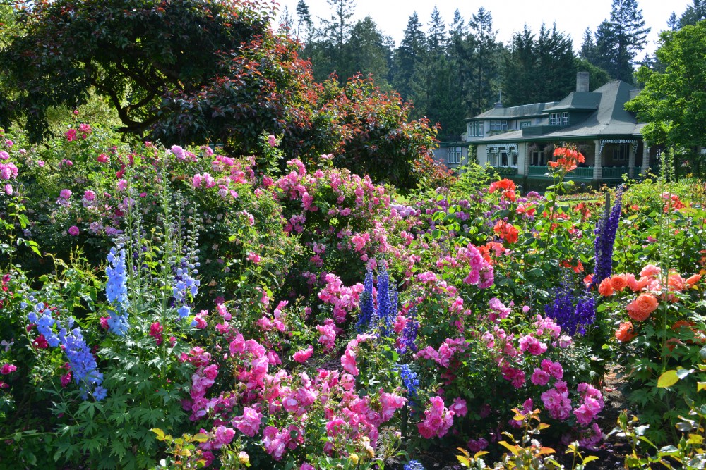 Butchart Gardens at night, Victoria's lush Butchart Gardens…