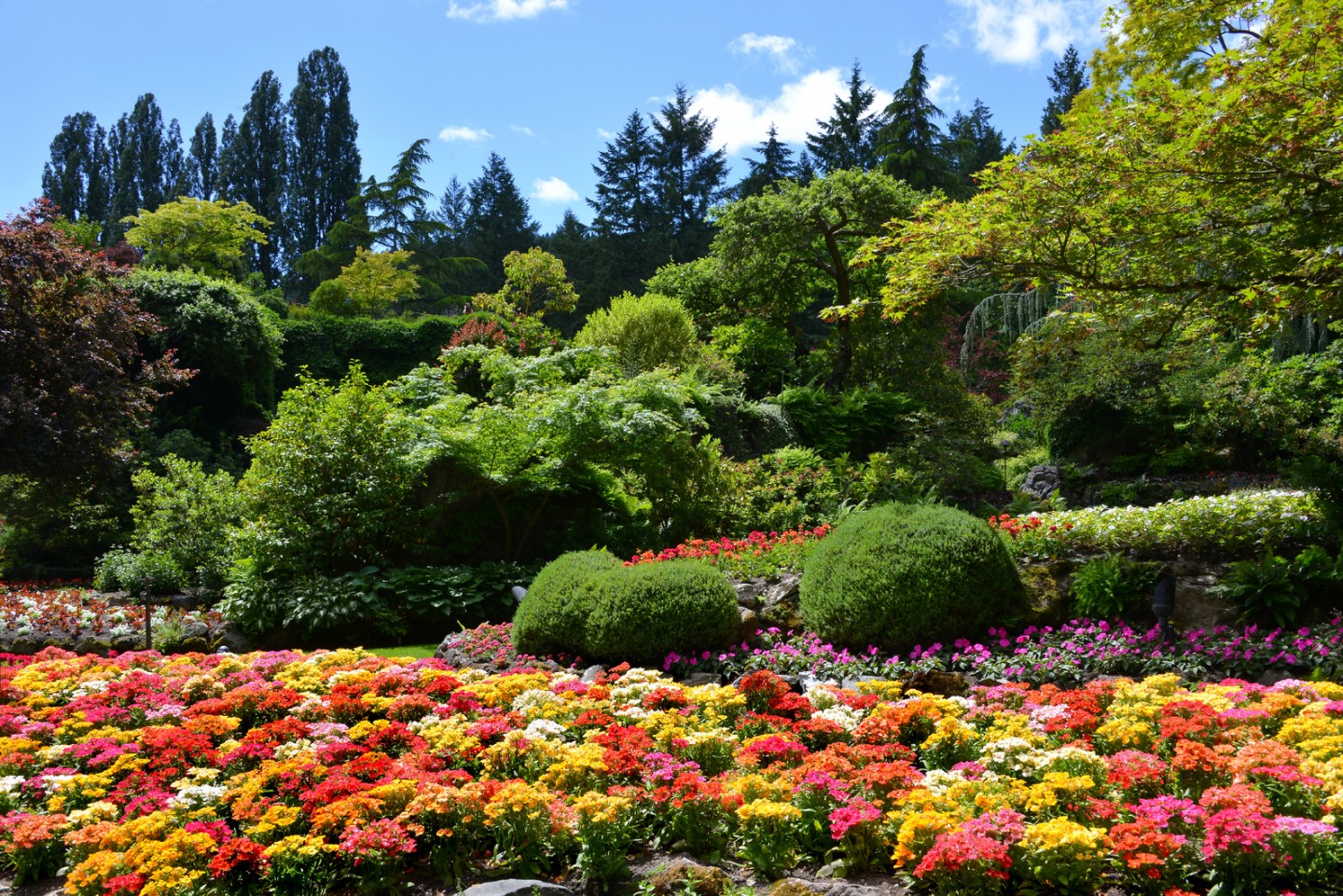 Summer Garden Insights - The Butchart Gardens
