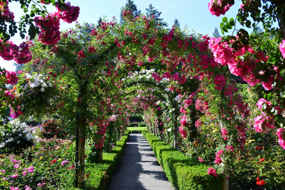 Victoria and the Butchart Gardens Christmas Light Display Tour 2023