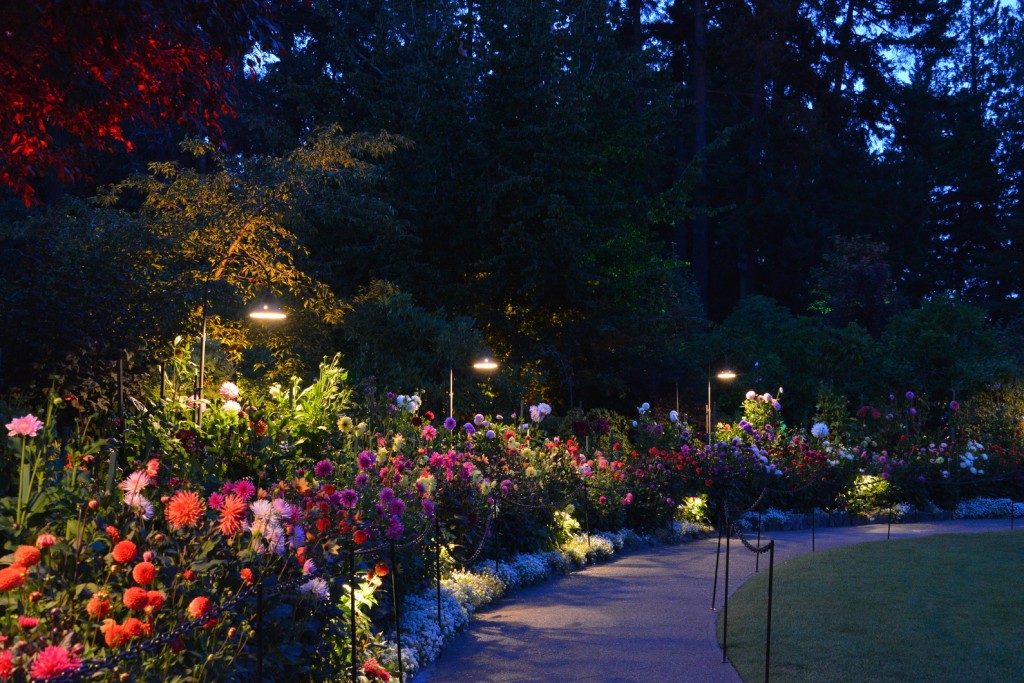 The Gardens After Dark - The Butchart Gardens