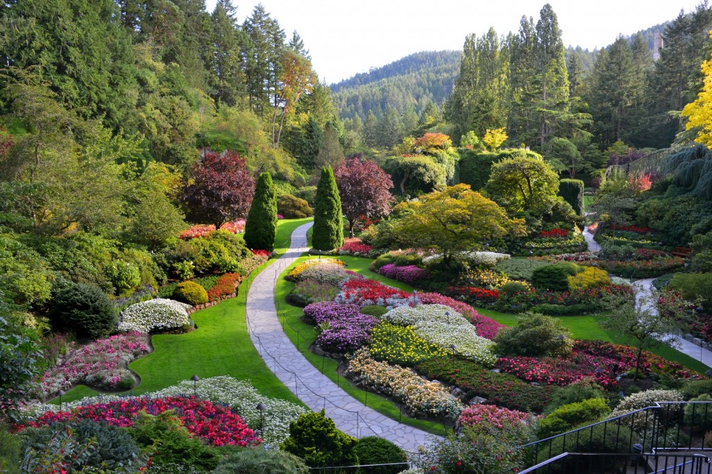 What's in Bloom Now? Garden Updates September 10 - 23 - The Butchart Gardens