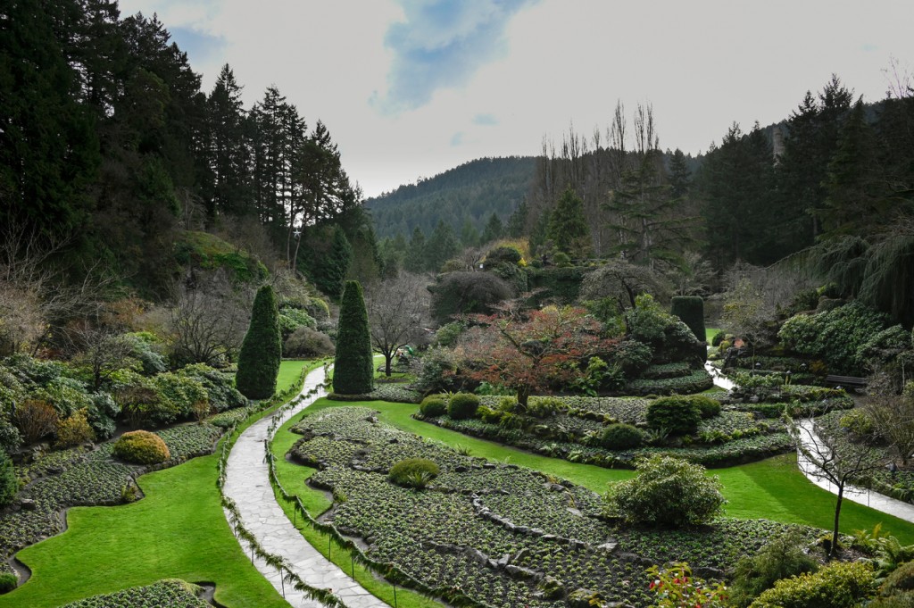 Photo gallery: Butchart Gardens shine bright for Christmas: Photo