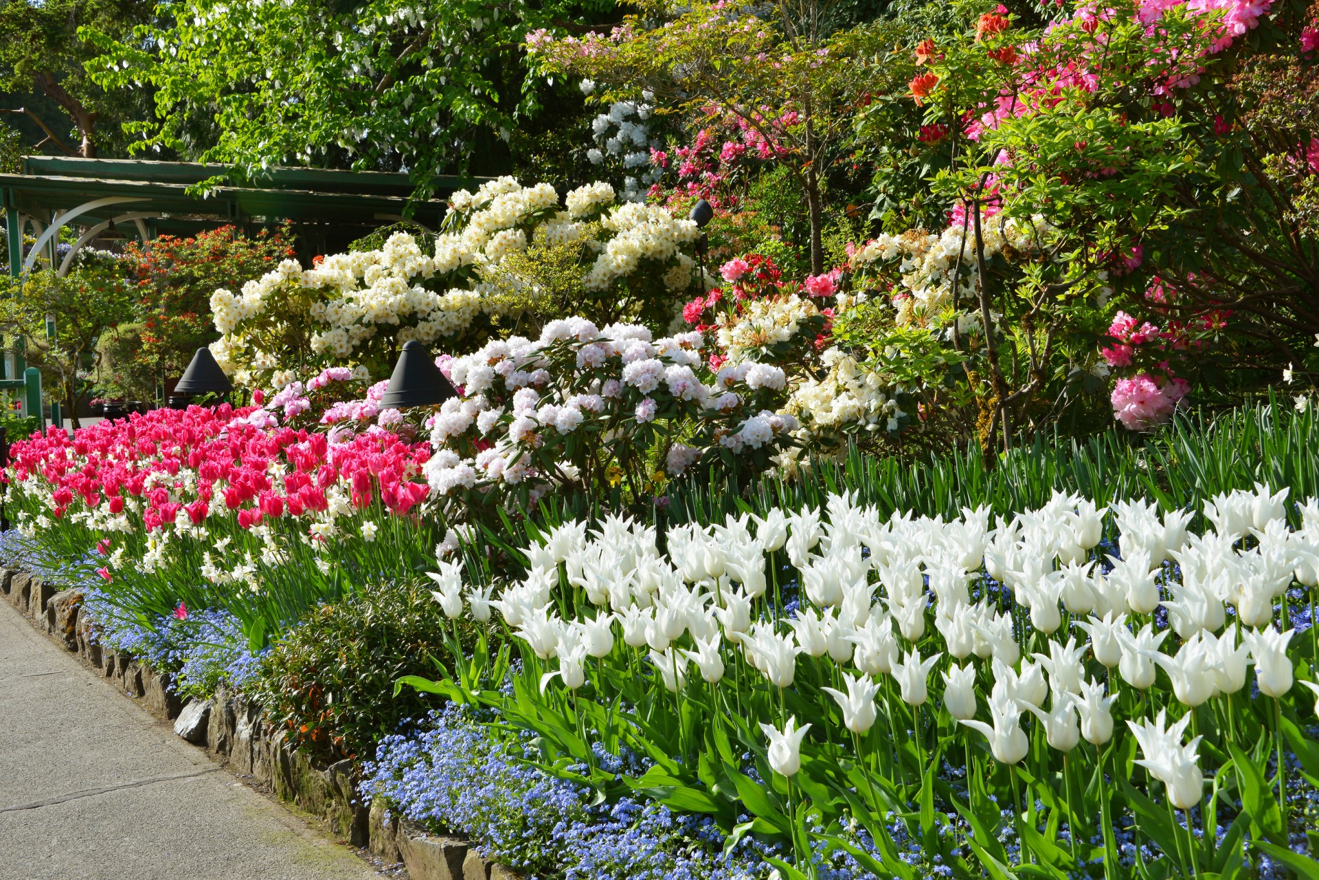 Spring Garden Insights The Butchart Gardens