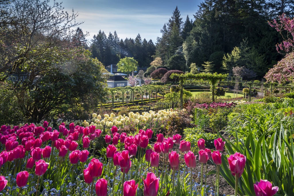 A Virtual Visit - The Butchart Gardens