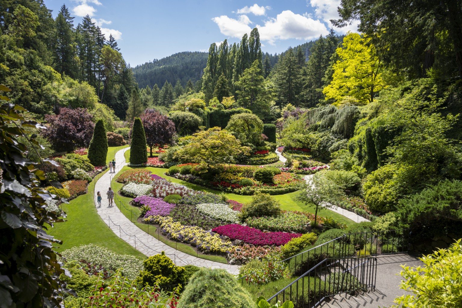 Summer Garden Insights The Butchart Gardens
