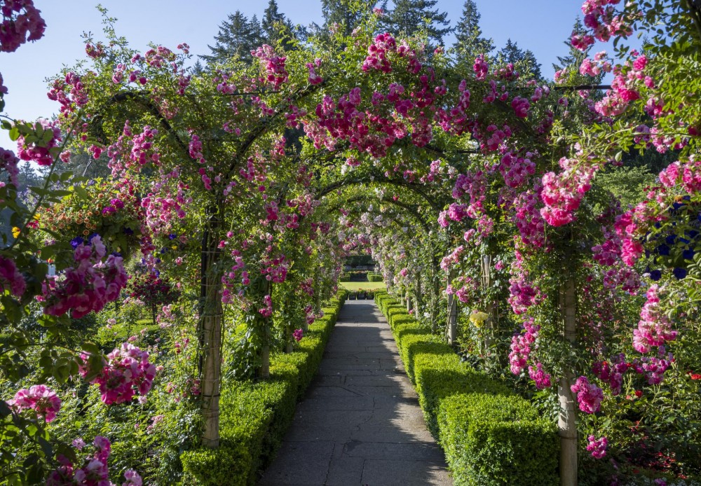 Group & Tour Operator Information - The Butchart Gardens
