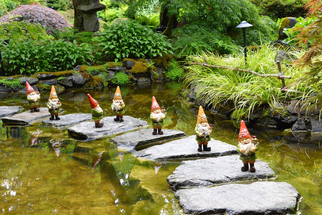 Garden gnomes in Japanese Garden
