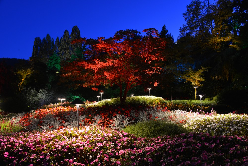 The Butchart Gardens – Victoria, Canada – Visiting in the Summer