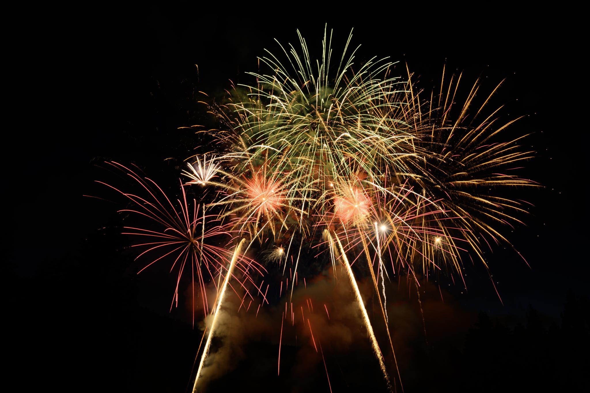 Red and green fireworks in a black sky.