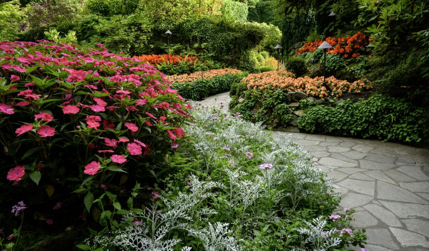 Summer Garden Insights 2025