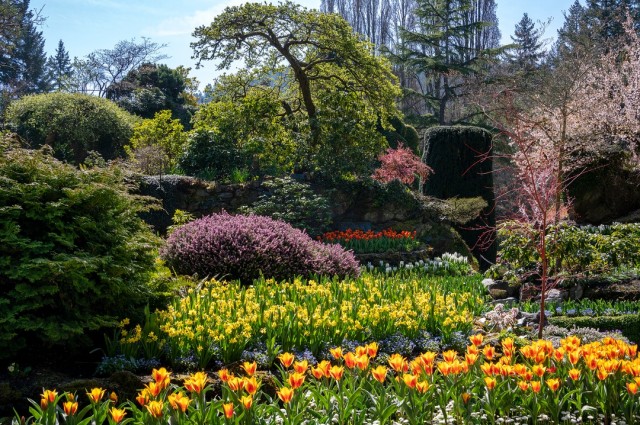 The Butchart Gardens Over 100 Years In Bloom Victoria Canada